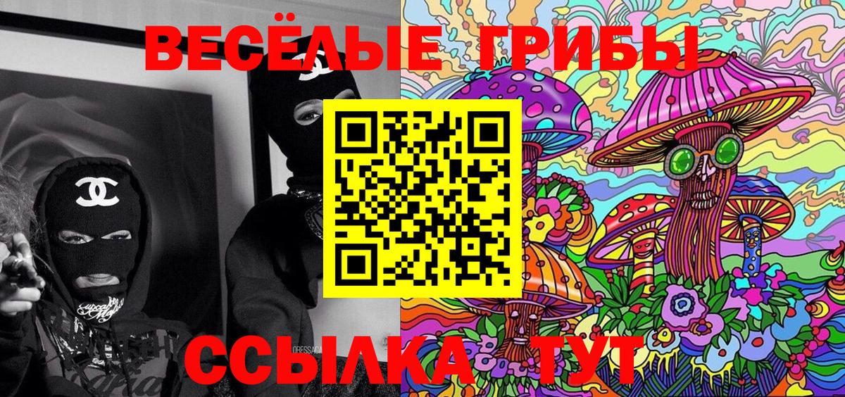 Красный Сулин  Псилоцибиновые грибы Psilocybe  Вход с VPN 
